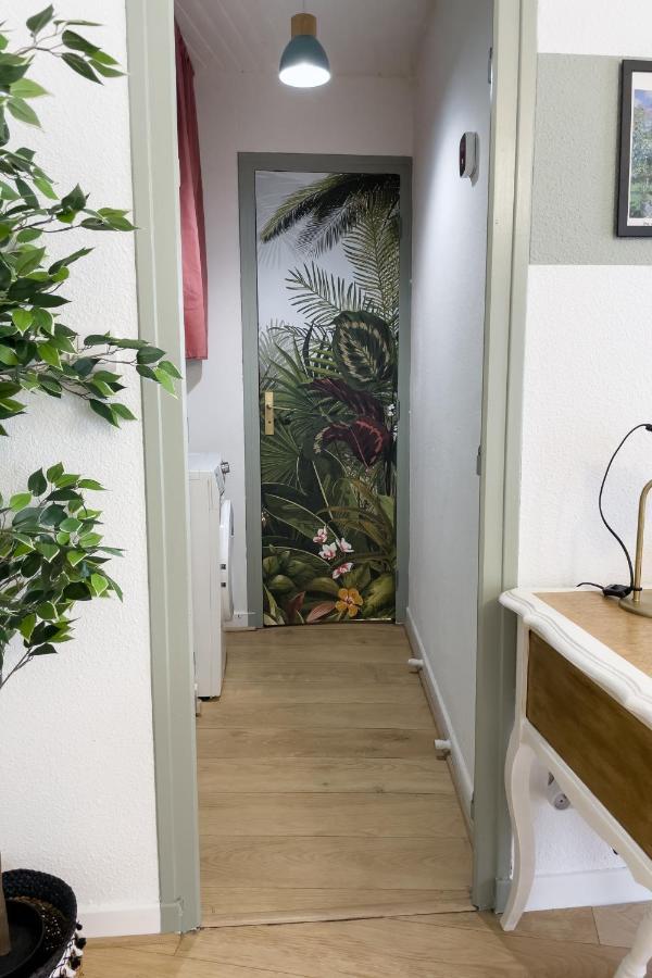 Appartement Lumineux 1 Chambre Hypercentre Place St Jean Valence  Kültér fotó